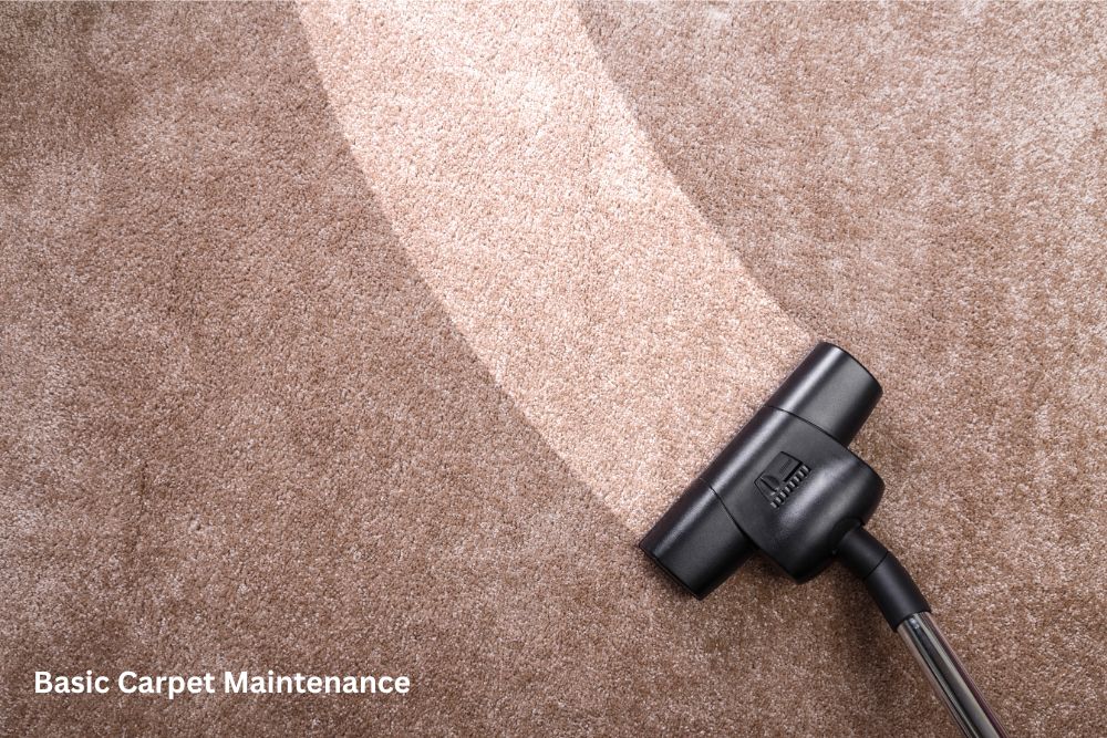 Carpet floor cleaning | West River Carpets