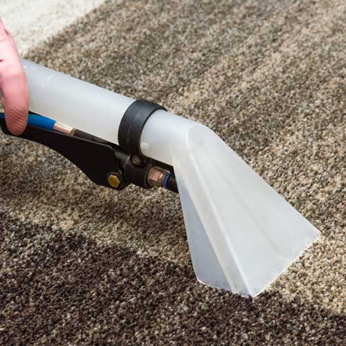 Carpet Cleaning | West River Carpets